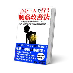 腰痛改善法PDF